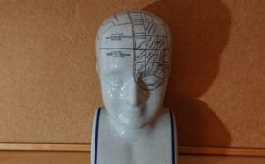 Phrenology was a science of character divination, faculty psychology, theory of brain popular in the 19th-century thought of as 'the only true science of mind'.